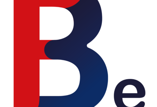 Logo Boshuis.eu